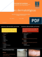 Lesiones Primarias y Secundaris de Piel