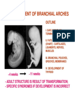 BranchialArchesLectureff PDF