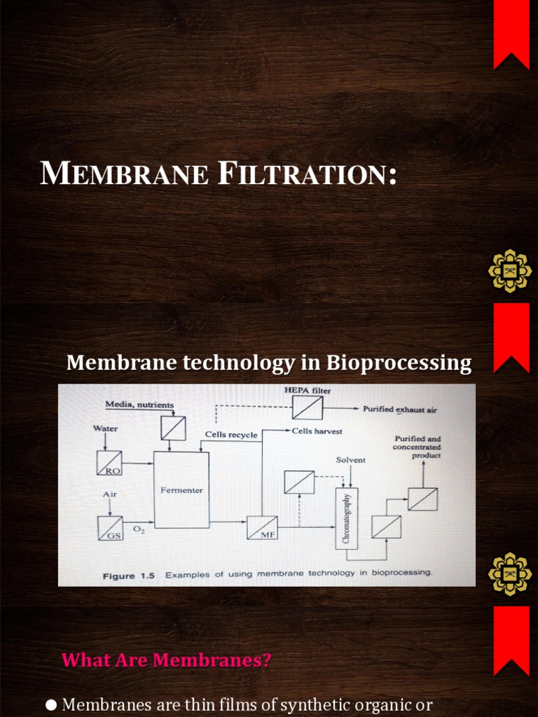 Membrane Filtration Techniques PDF Membrane Membrane Technology