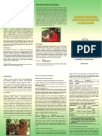 FINAL VERSION National Guidelines VAS3 PDF