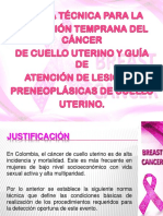 Cancer Cuello Uterino y Neoplasias Res.412