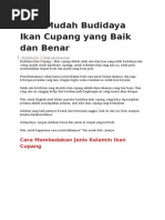 Cara Mudah Budidaya Ikan Cupang Yang Baik Dan Benar