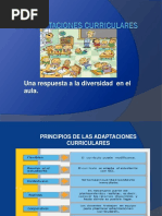 Adaptaciones Curriculares 2017