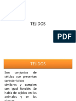 Tejidos2 PDF