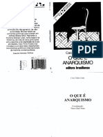 Colecao primeiros passos O que é anarquismo.pdf