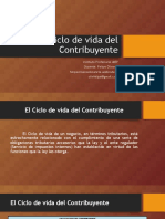 Ciclo de Vida Del Contribuyente - Clase 1 (2015-1)