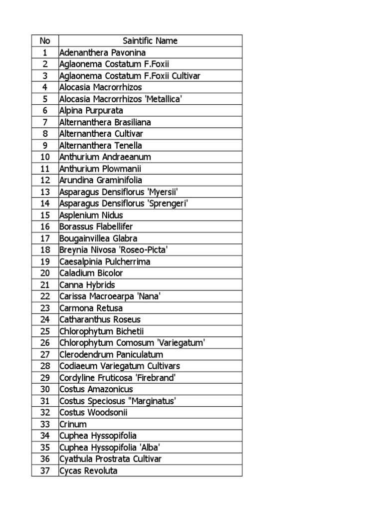 Flowers Name PDF Ethnobotany Garden Plants