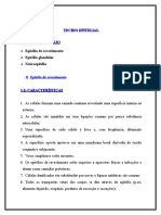 cap05_tecido_epitelial1.doc