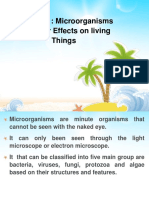 Chapter 1 - Microorganisms & Their Effects On Living Things