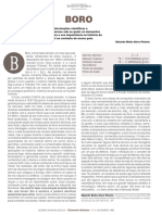 Boro.pdf