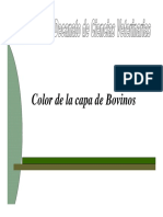 Pelo Color (Modo de Compatibilidad)