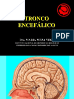 Docfoc.com 3. Tronco Encefalico
