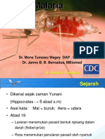 Parasit Malaria