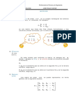 Matrices PDF