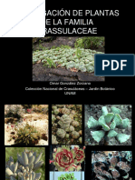 20_Propagacion_de_plantas_de_la_familia_crassulaceae.Omar_Gonzalez_Zorzano.pdf