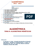 Tema09 AlgoritmosMemeticos 12 13