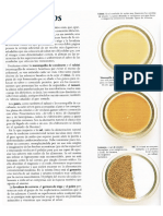 Tipos de Aderezos y Beneficios PDF