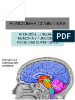 Esquemas Del Cerebro - Atencion