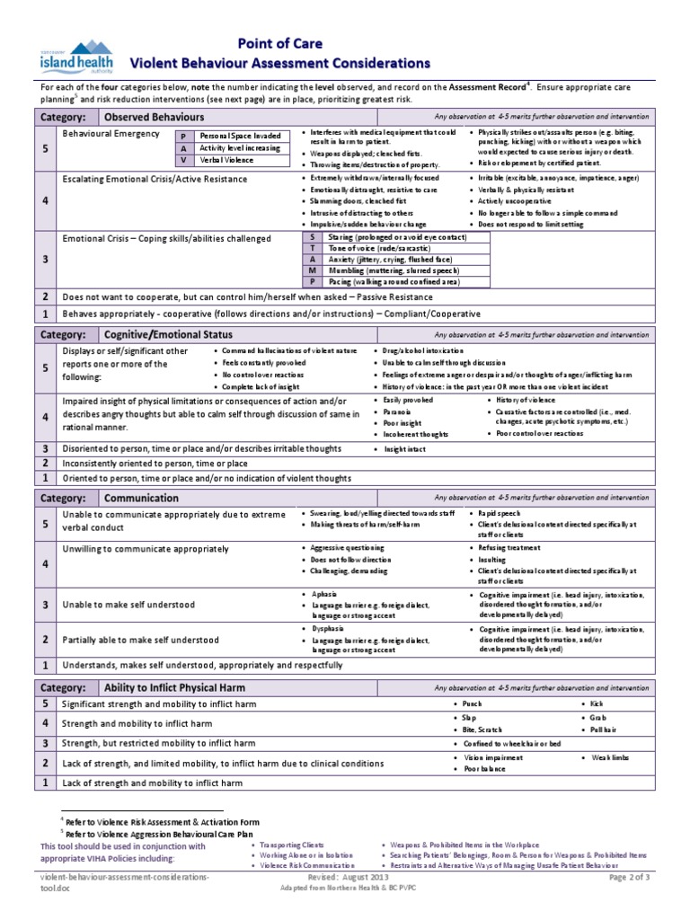 Violent Behaviour Assessment Scale Violence Risk Management