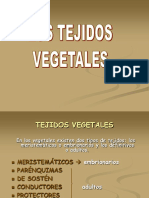 Tejidos Vegetales