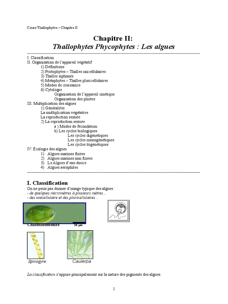 Classification et Reproduction des Algues PDF Biologie Organismes — free download