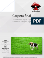 Carpeta Final