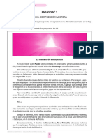 Ensayo 01 PDF