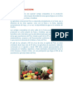 Situacion de la Produccion Regiona de Frutas y Horalizas.docx