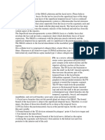 SMAS: The Superficial Musculoaponeurotic System Is A Fibromuscular Fascial Extension