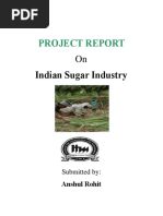 Project Report: Indian Sugar Industry