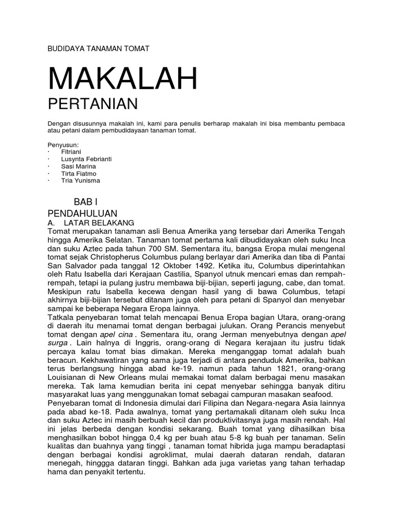 Laporan Budidaya Tanaman Tomat Pdf Seputar Laporan