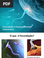 Fecundação e Desenvolvimento Embrionário