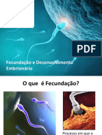 Fecundação e Desenvolvimento Embrionário