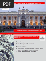 Democracia principios y procedimientos 1