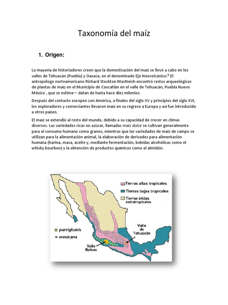 Teoria del maiz_teorias