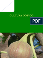 A Cultura Do Figo PDF