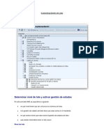 SAP MM Guia Customizing Gestion de Lotes PDF