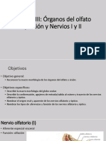 Organo Del Olfato y Vision y Nervios I y II