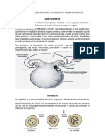 Fisiología de Gametogénesis