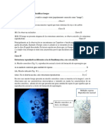 Clave Taxonomica para Identificar Hongos