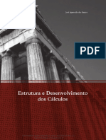 Estrutura e Desenvolvimento Dos Cálculos PDF