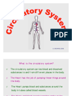 Circulatory System CP