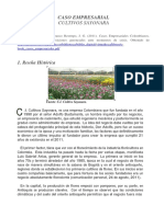 Caso Cultivos Sayonara PDF