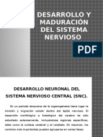 Desarrollo Del Sistema Nervioso