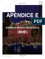 Apendice E BHE
