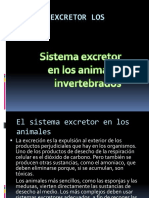 Sistema Excretor Animales