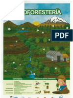 agroforesteria.pdf