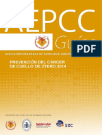 AEPCC Revista02 PDF