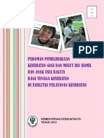 pedoman gilut BUMILdan balita.pdf