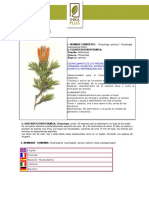 Huamanpinta PDF